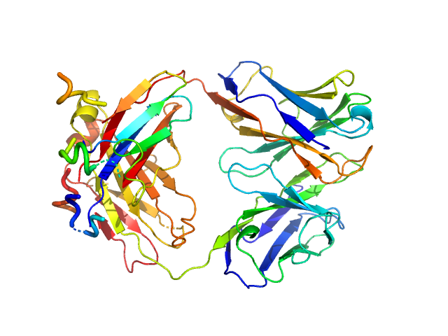 anti-TG2 antibody (679 14 E06)  CRYSOL model