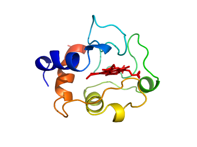Cytochrome c Heme C PDB (PROTEIN DATA BANK) model