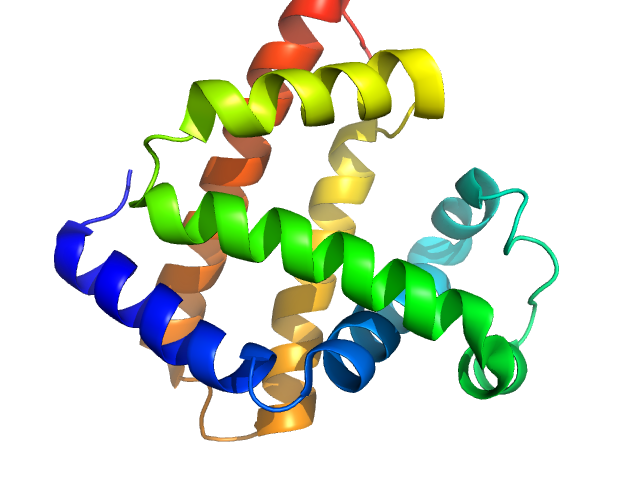 Myoglobin CRYSOL model