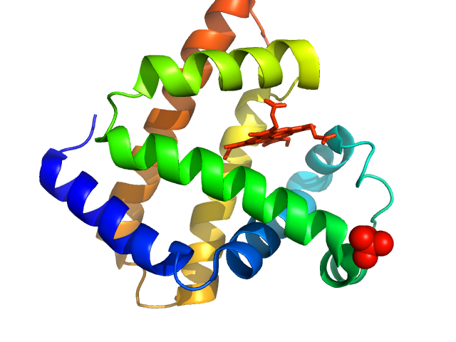 Myoglobin PDB (PROTEIN DATA BANK) model