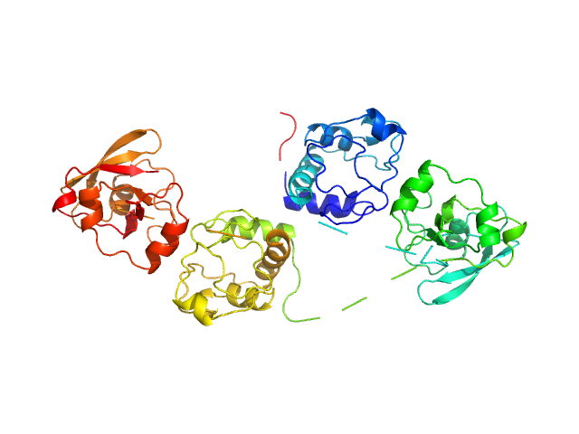 Cytochrome C dimer Adrenodoxin dimer SASREF model
