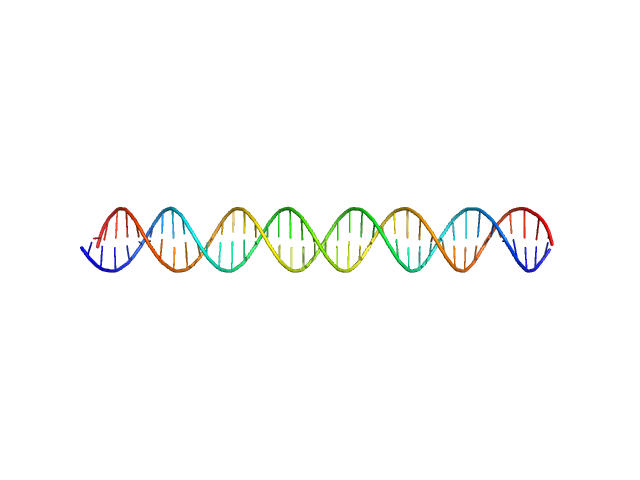 kLBS1-2 DNA CRYSOL model