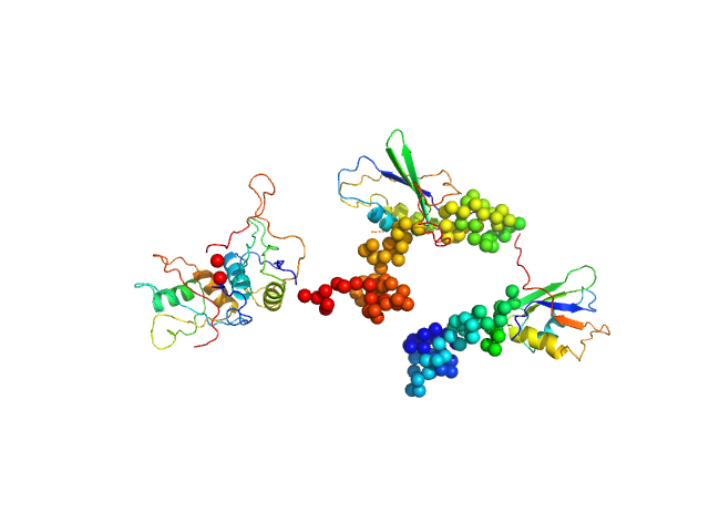 Polypyrimidine tract-binding protein 1 BUNCH model