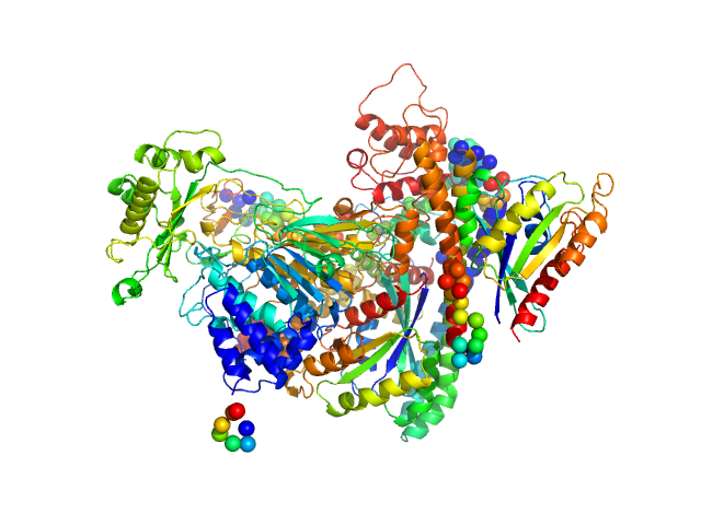 [F-actin]-monooxygenase MICAL1 (monomer) Ras-related protein 8 CORAL model