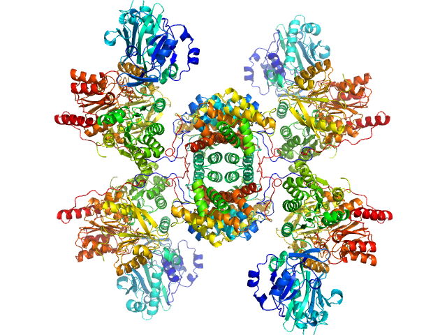 ATP-citrate synthase SASREF CV model