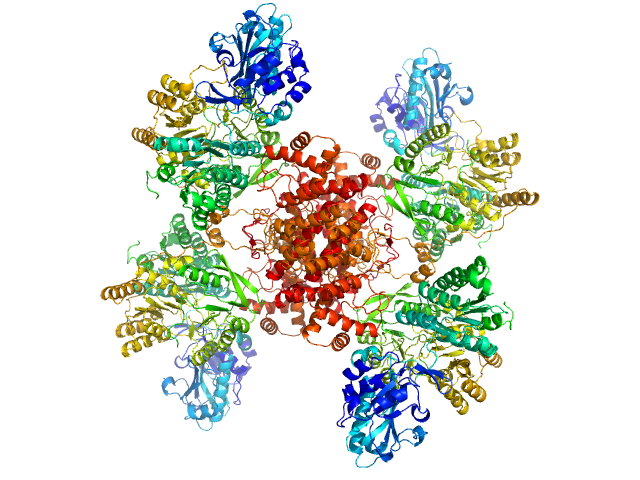 ATP-citrate synthase MULTIFOXS model