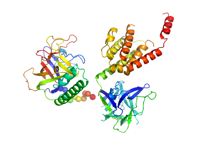N-terminal domains of the inositol 1,4,5-trisphosphate receptor type 1 BUNCH model