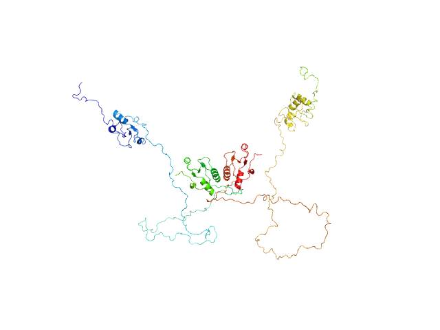 DNA repair protein XRCC1ΔN BILBOMD model