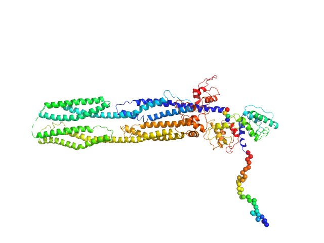 Half dimer of α-actinin-2 CORAL model