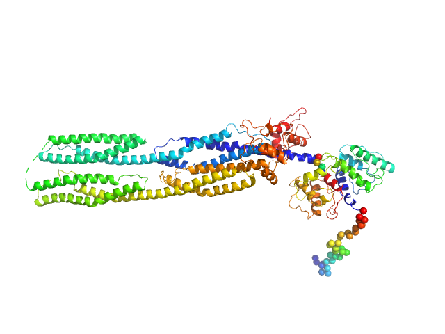 Half dimer of α-actinin-2 CORAL model