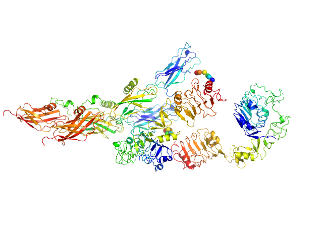 Insulin receptor-related protein CORAL model