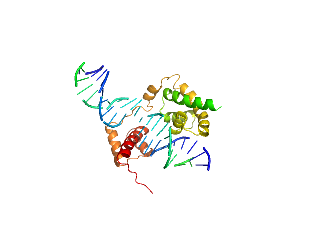 POU domain, class 3, transcription factor 2 Rat CRH DNA CUSTOM IN-HOUSE model