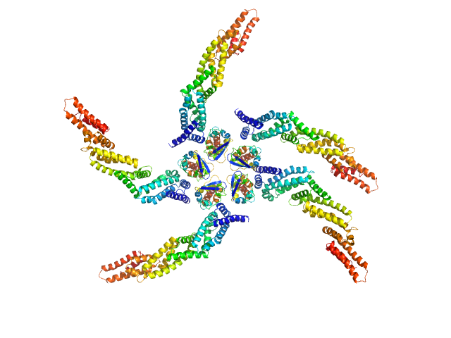 Cullin 3 Insomniac protein SASREF model