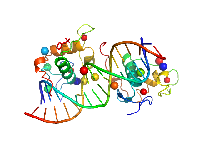 Ramp2 DNA Retinoic acid receptor RXR-alpha CUSTOM IN-HOUSE model