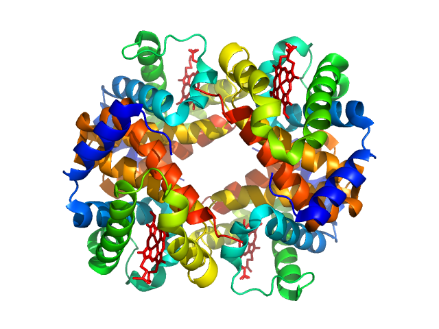Hemoglobin subunit alpha Hemoglobin subunit beta PDB (PROTEIN DATA BANK) model