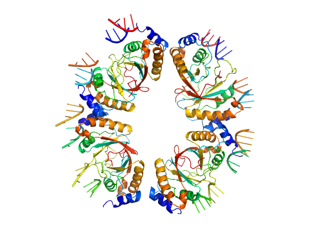 kLBS1-2 DNA ORF73 tetramer ORF73 octamer kLBS1-2 DNA two monomers NONE model