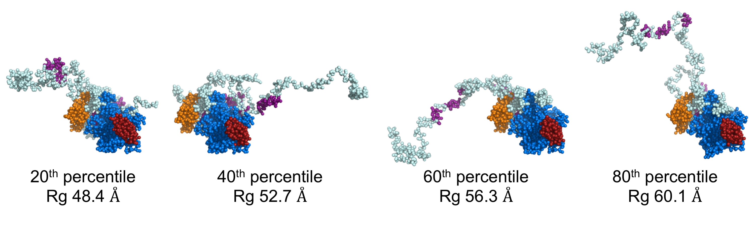 DNA repair protein RAD5 OTHER [STATIC IMAGE] model