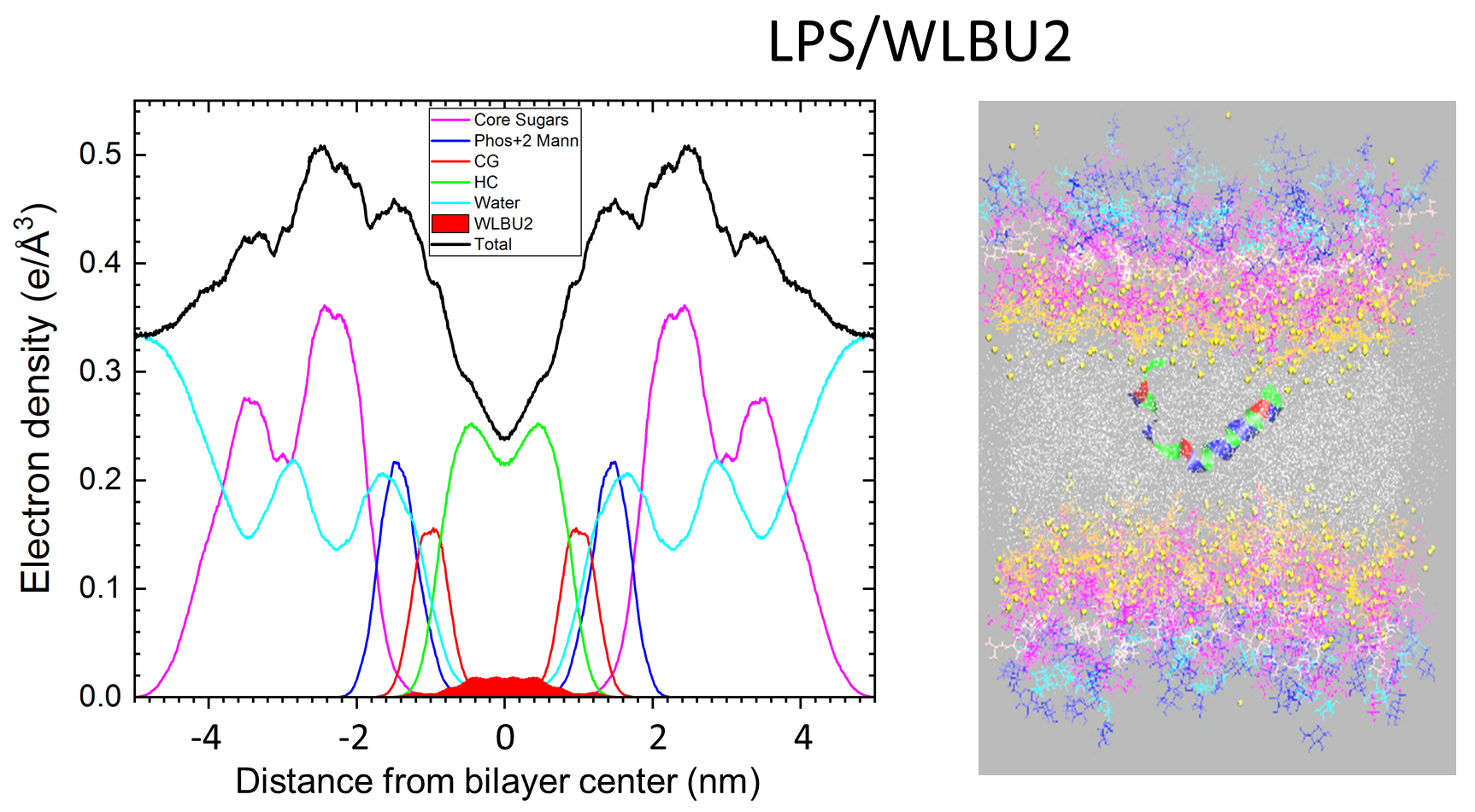 Lipopolysaccharide plus WLBU2 OTHER [STATIC IMAGE] model