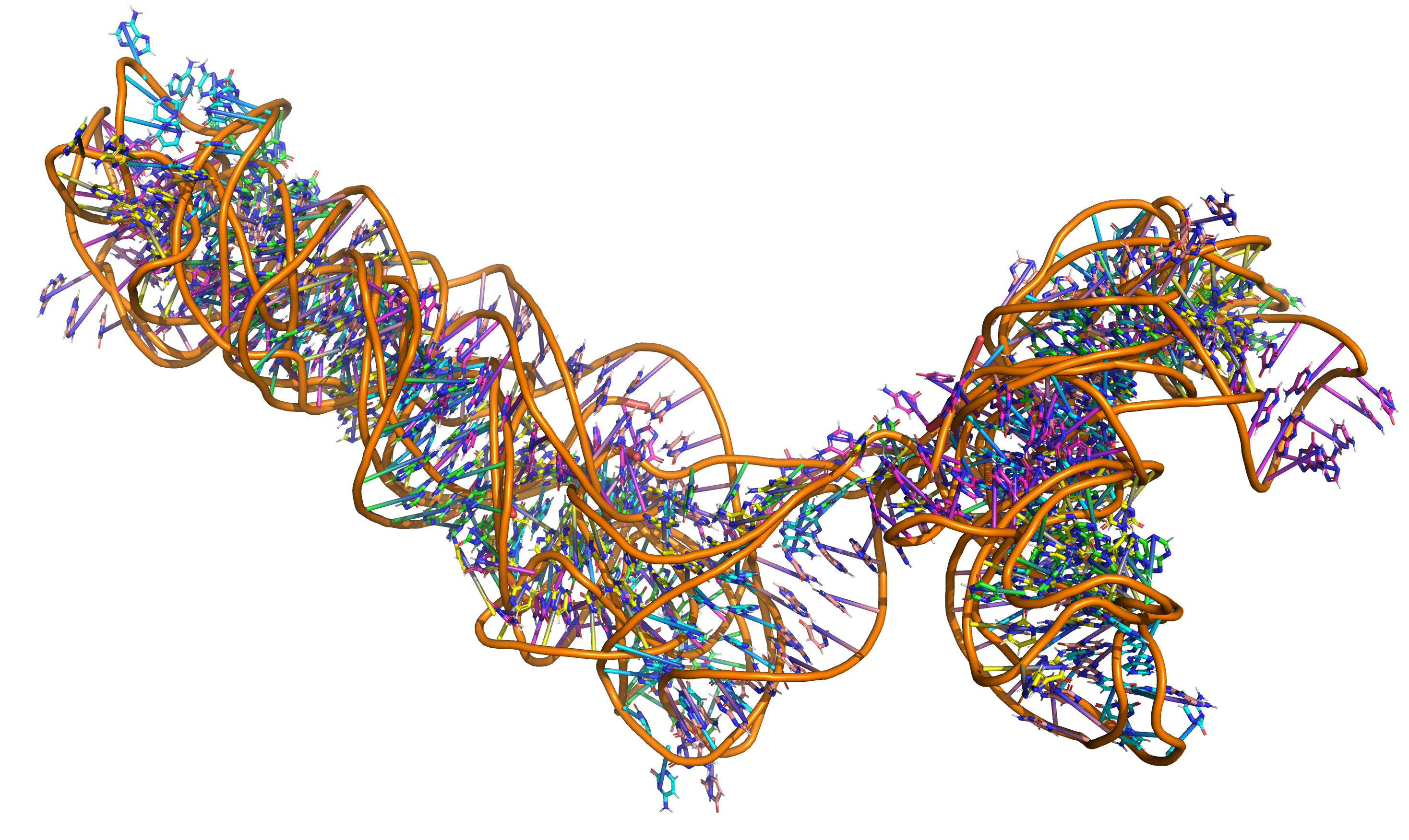 Stress response regulating small RNA OxyS OTHER [STATIC IMAGE] model