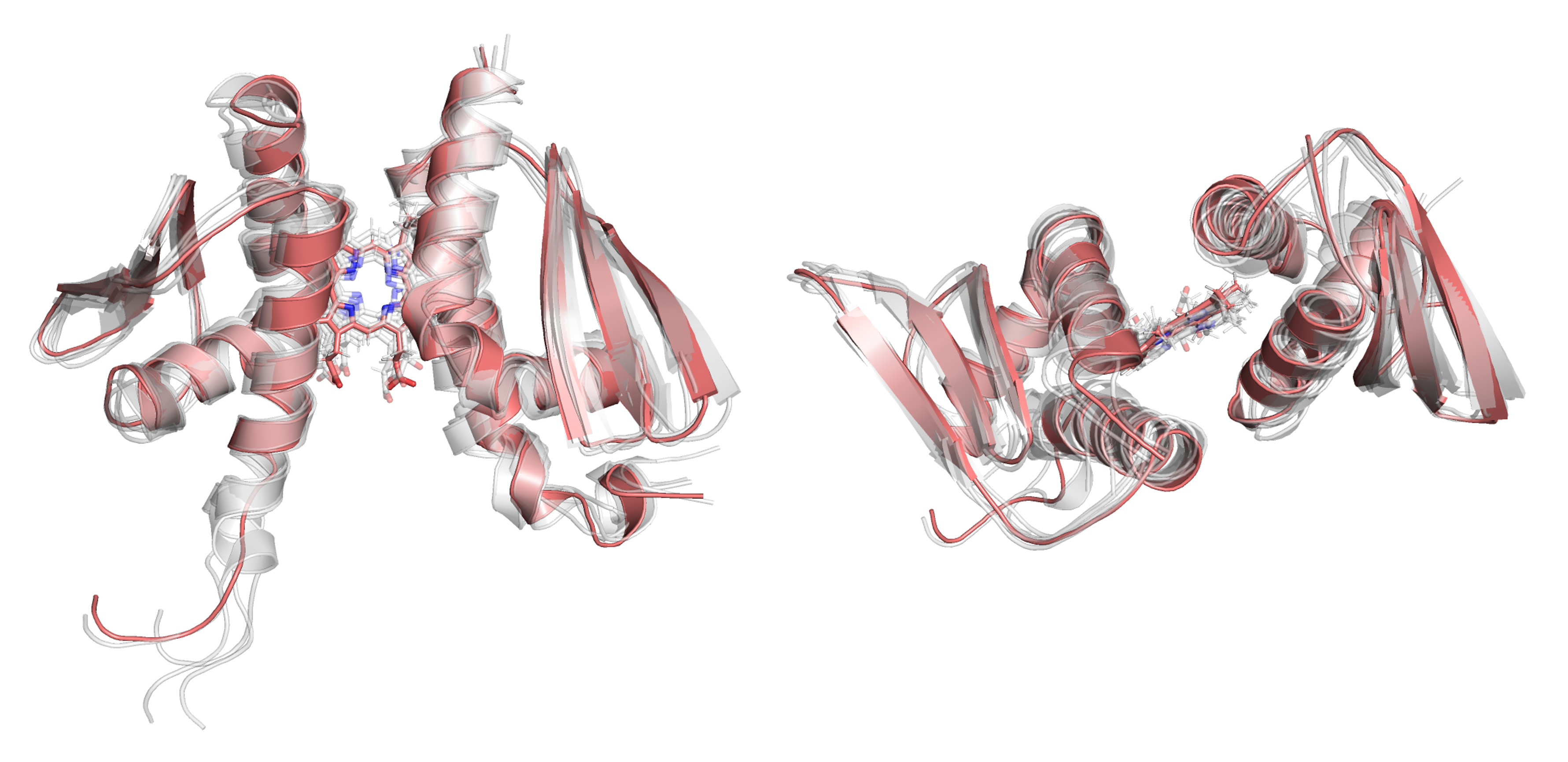 Ssr1698 protein (H21A) OTHER [STATIC IMAGE] model