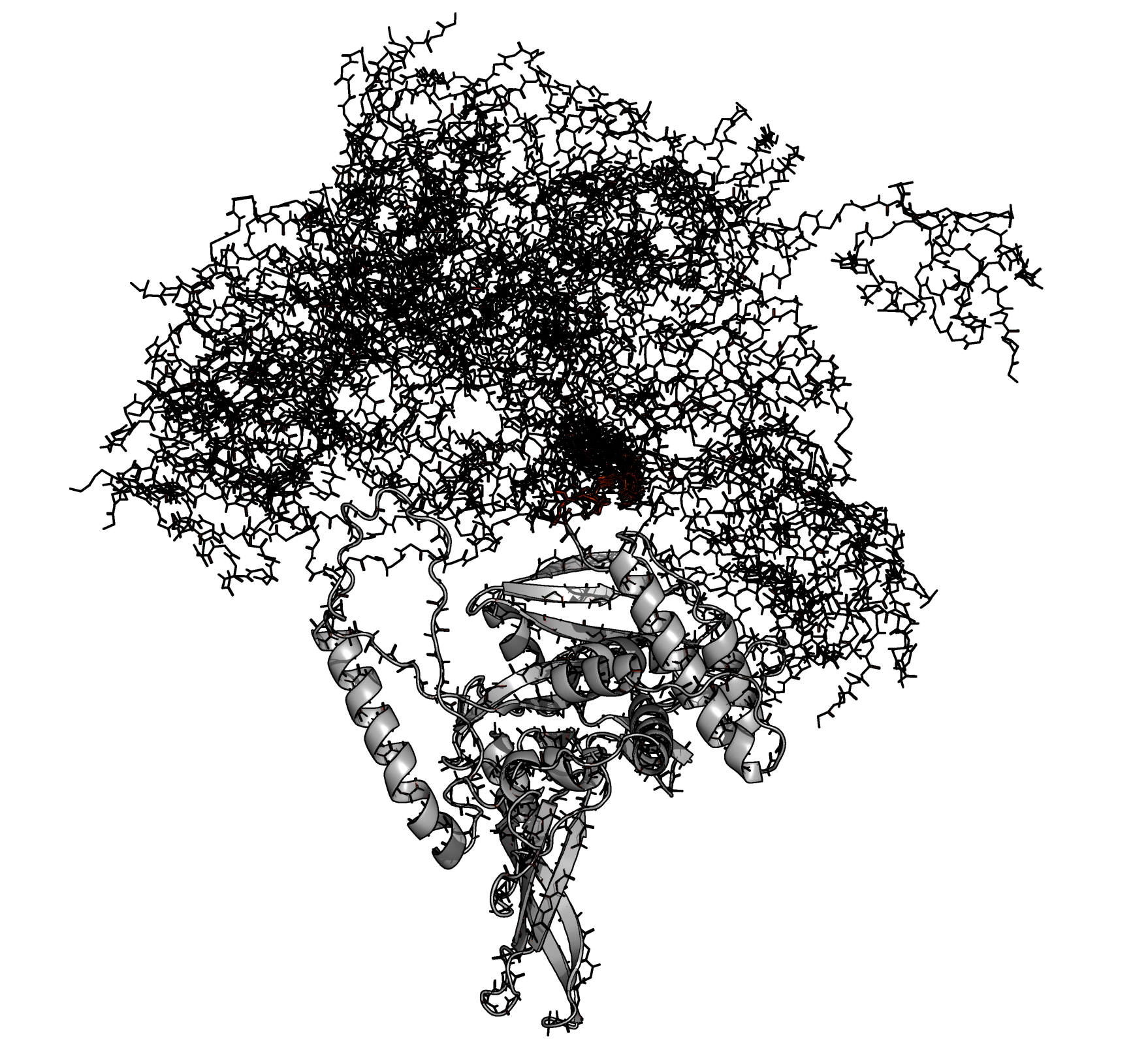 Ubiquitin carboxyl-terminal hydrolase 14 OTHER [STATIC IMAGE] model