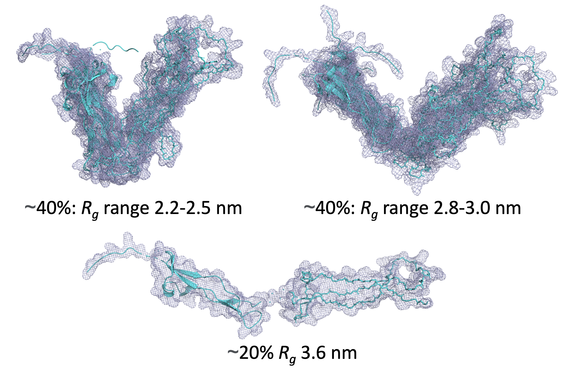 Thrombospondin type-1 domain-containing protein 7A (D116A, H118A, Y176A) OTHER [STATIC IMAGE] model