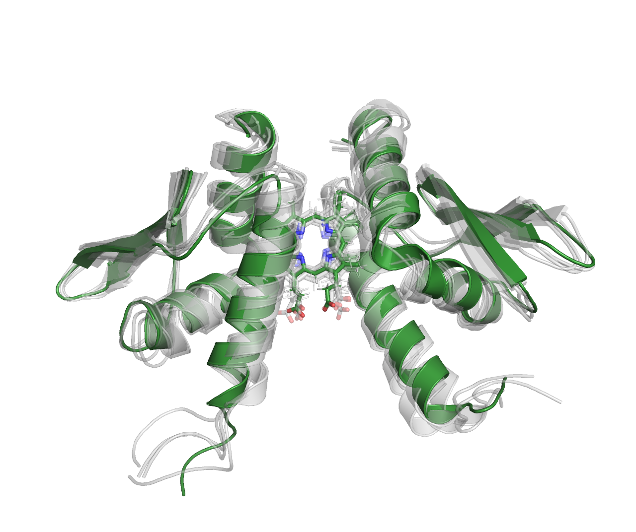 Ssr1698 protein OTHER [STATIC IMAGE] model