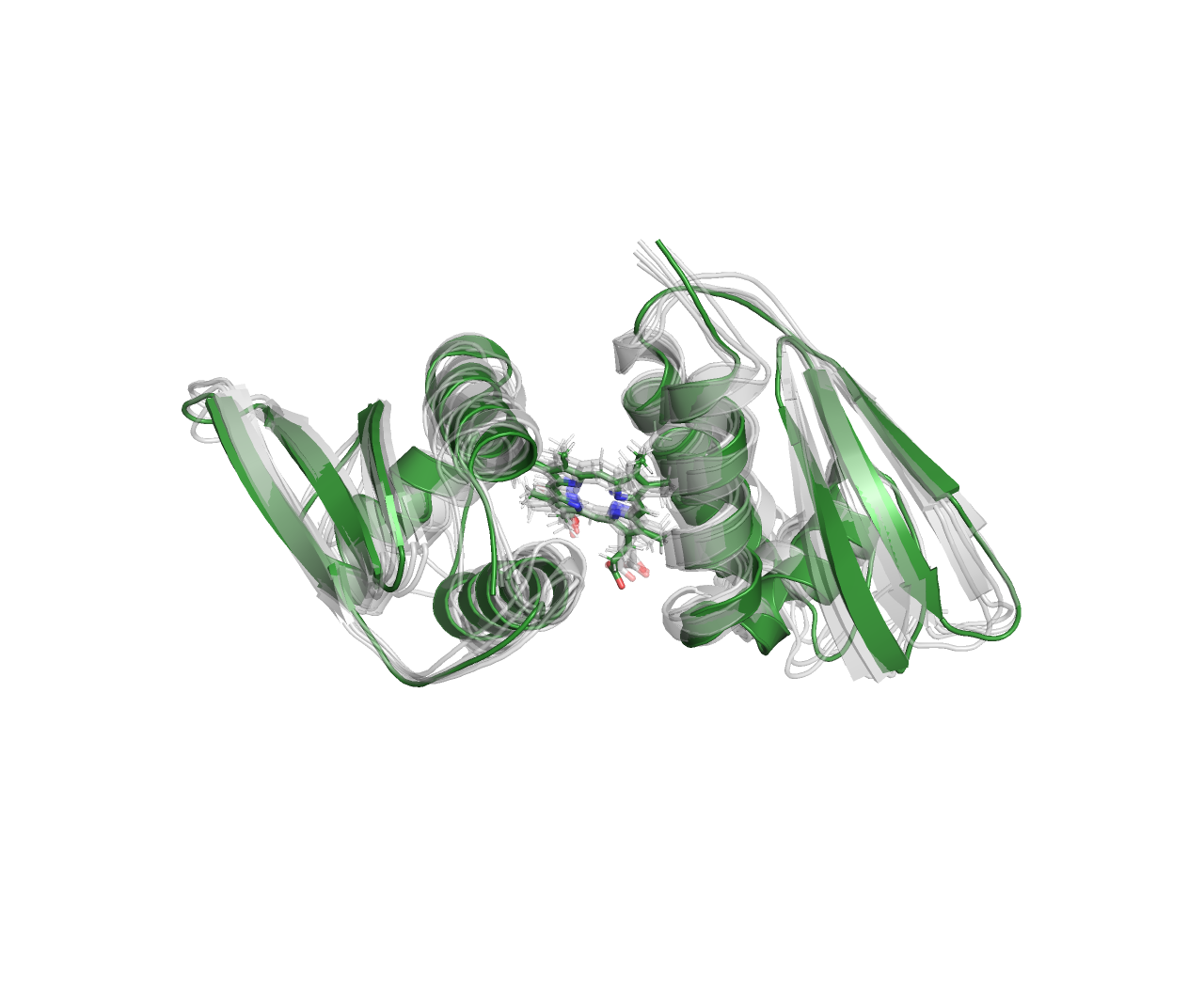 Ssr1698 protein OTHER [STATIC IMAGE] model
