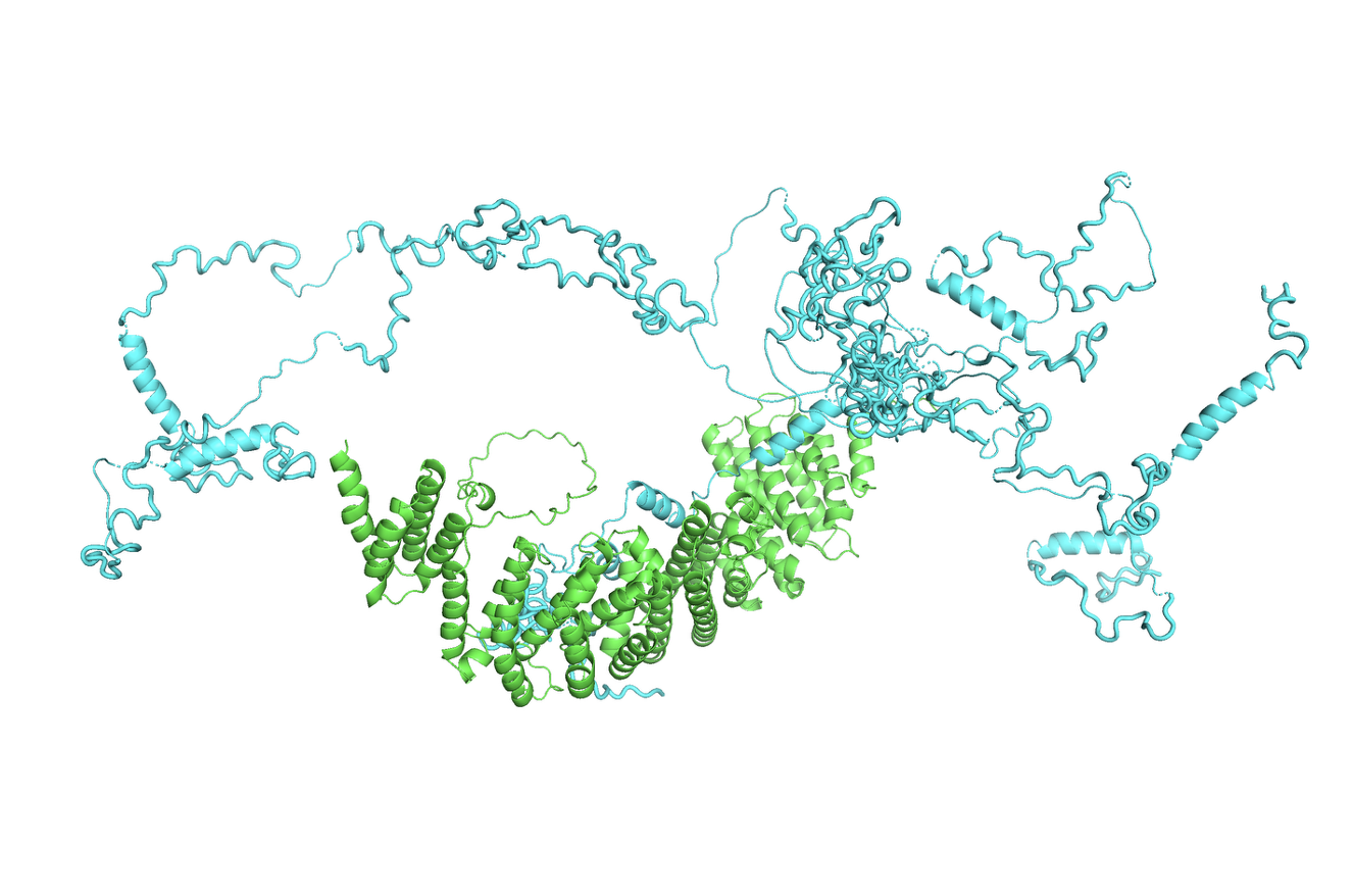 Peroxisomal biogenesis factor 8 Peroxisomal targeting signal receptor OTHER [STATIC IMAGE] model