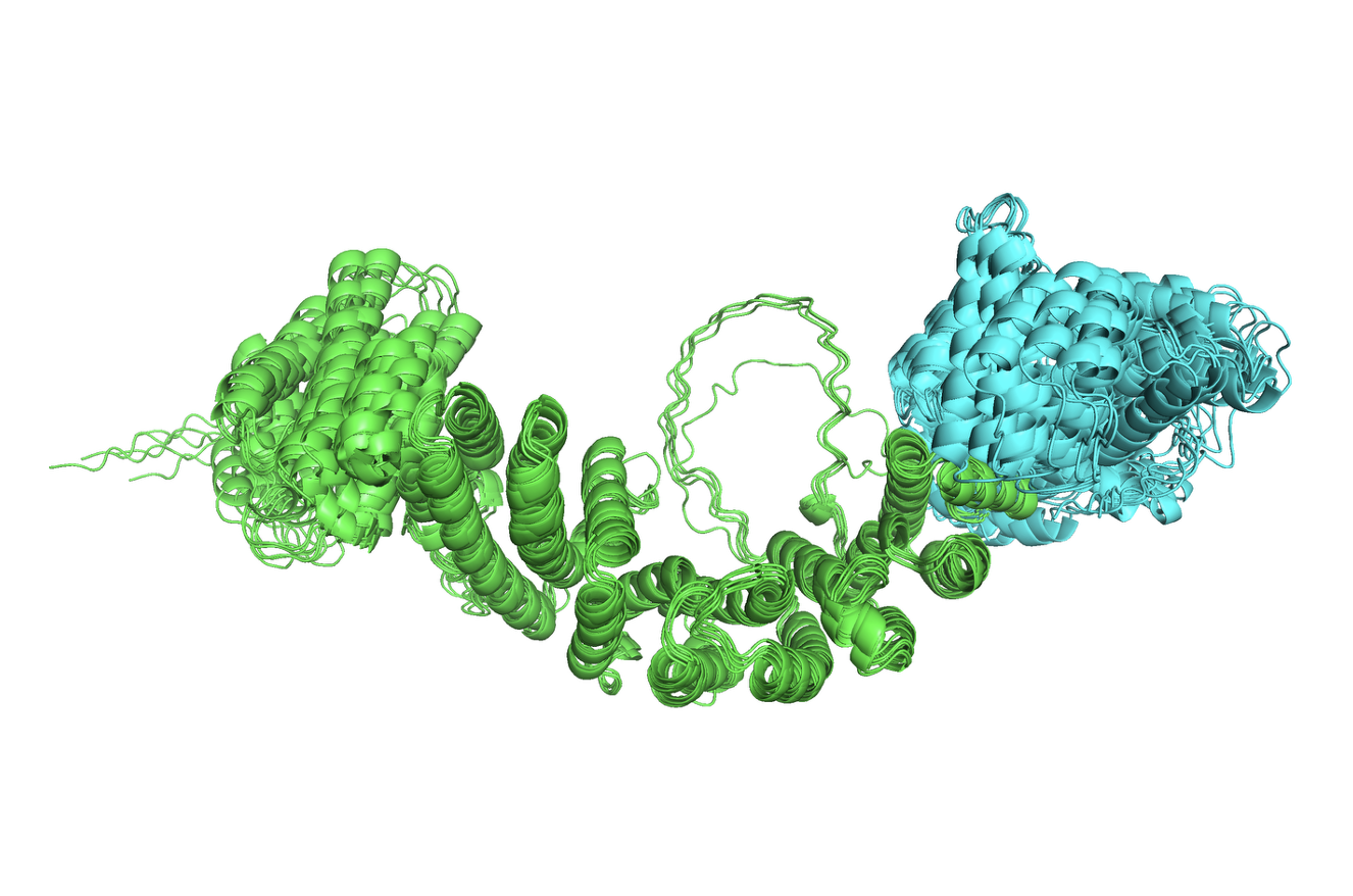 Peroxisomal biogenesis factor 8 Peroxisomal targeting signal receptor OTHER [STATIC IMAGE] model