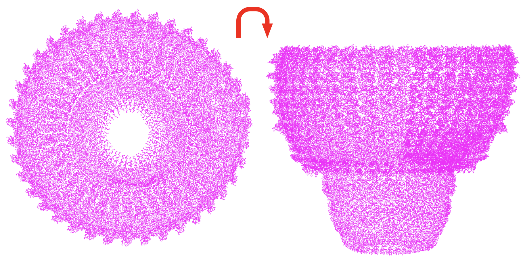 Major vault protein OTHER [STATIC IMAGE] model