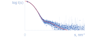 Fit to experimental SAS data