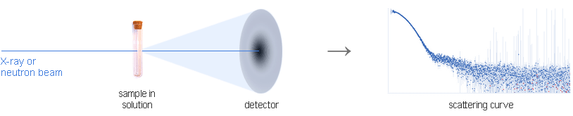 Small angle X-ray scattering experiment setup