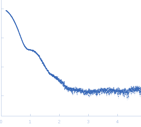 Exportin-1 small angle scattering data