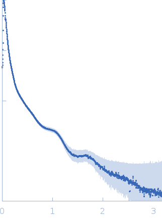 Metaphase chromosomes in 17 mM magnesium chloride experimental SAS data