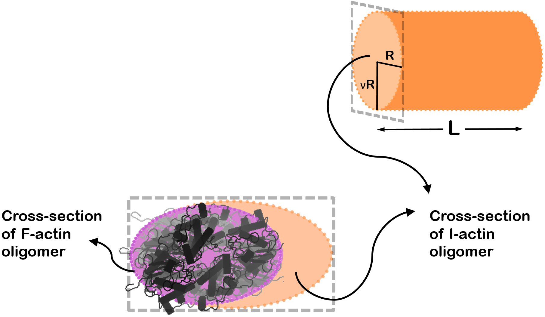 OTHER [STATIC IMAGE] model