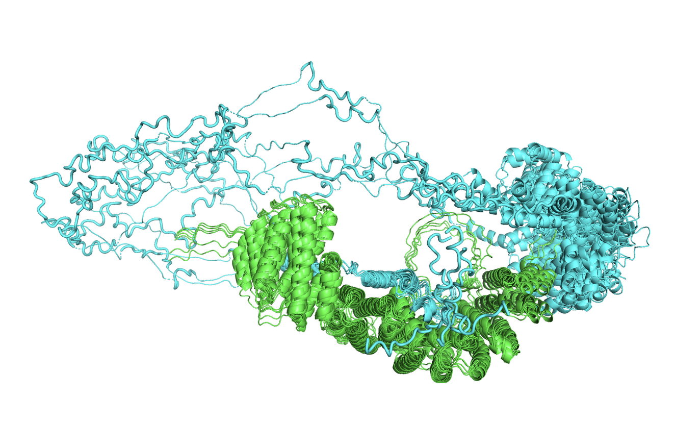 OTHER [STATIC IMAGE] model