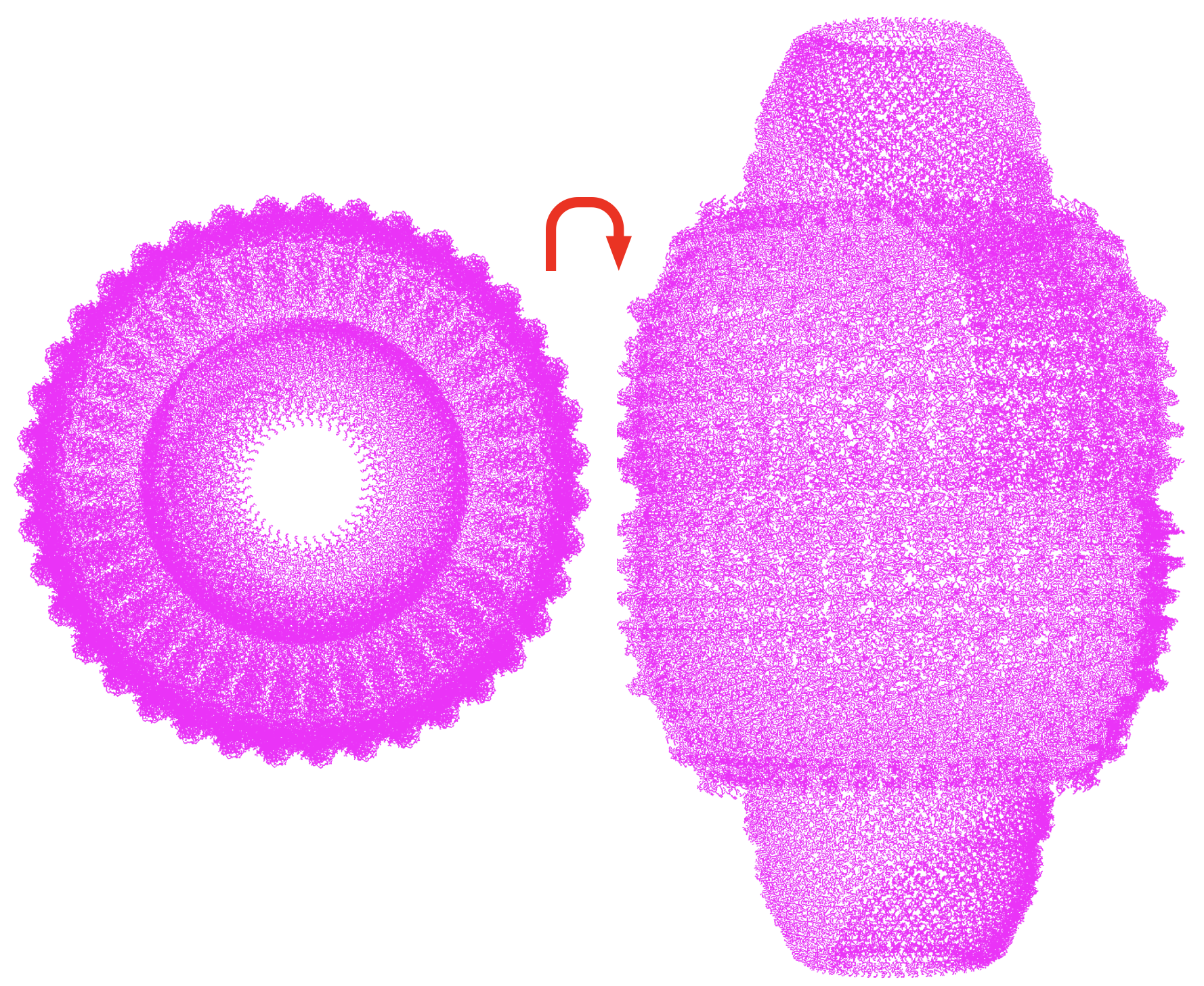 OTHER [STATIC IMAGE] model