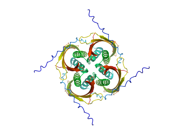ALPHAFOLD model