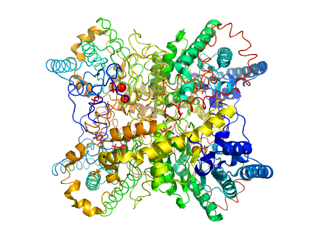 Xylose isomerase PDB (PROTEIN DATA BANK) model