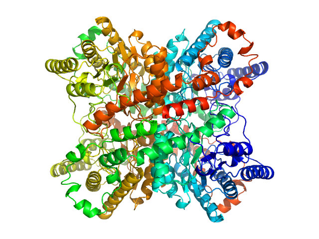 Xylose isomerase NONE model