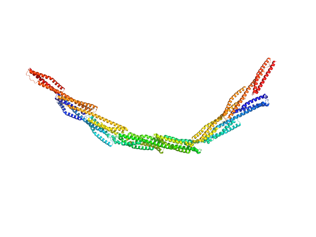 CORAL model