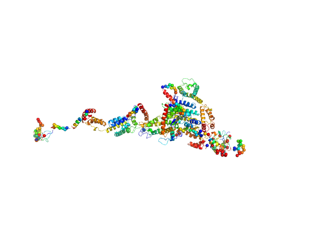 CORAL model
