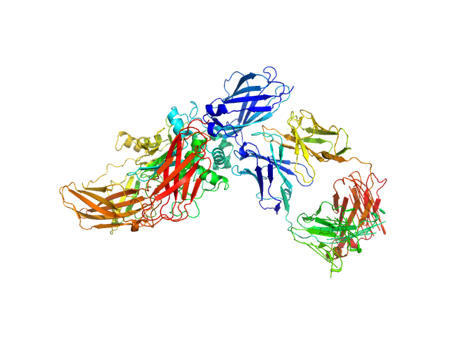 anti-TG2 antibody (679 14 E06)  transglutaminase 2 SASREF model