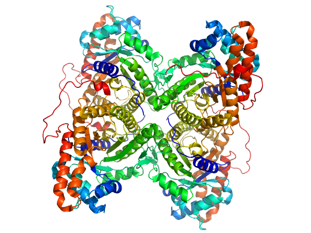 Fructose-bisphosphate aldolase A PDB (PROTEIN DATA BANK) model