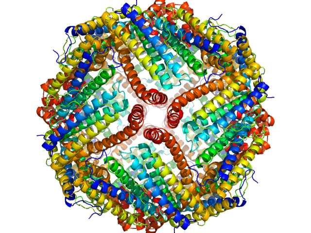 Ferritin light chain PDB (PROTEIN DATA BANK) model