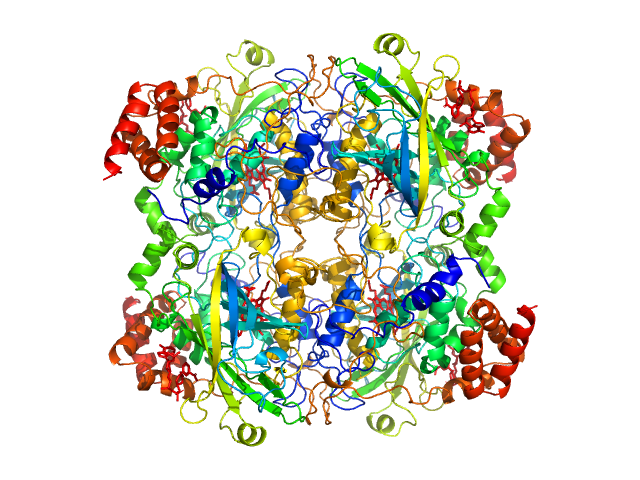 PDB (PROTEIN DATA BANK) model