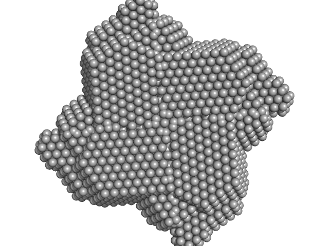 Catalase DAMMIF model