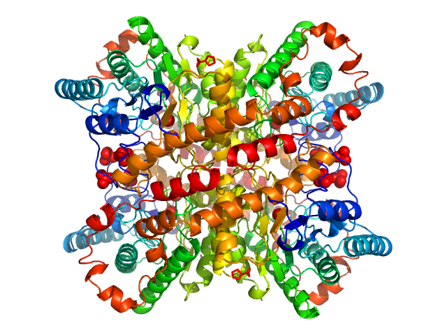 Xylose Isomerase CRYSOL model
