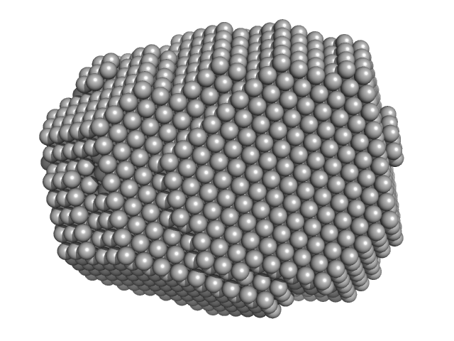 Lysozyme C DAMMIF model